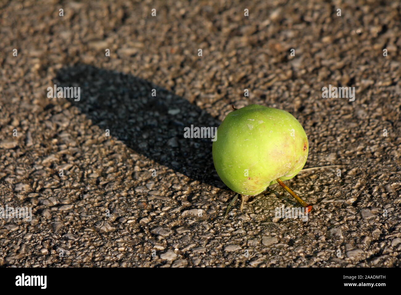 Apple vert clair à gauche sur la route goudronnée locale casting long shadow au coucher du soleil sur l'été chaud et ensoleillé jour Banque D'Images