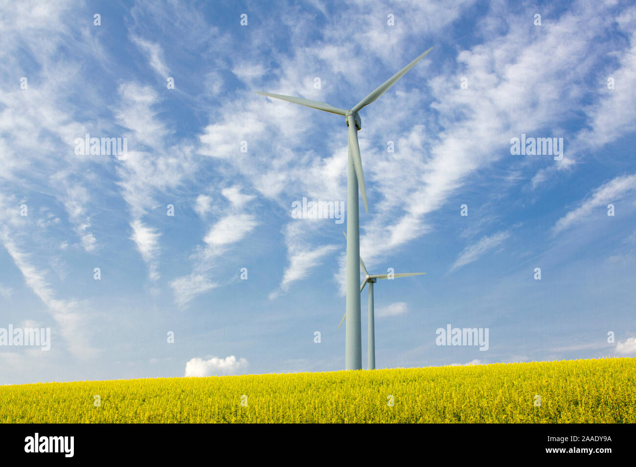 Windkraftanlagen im Rapsfeld Banque D'Images