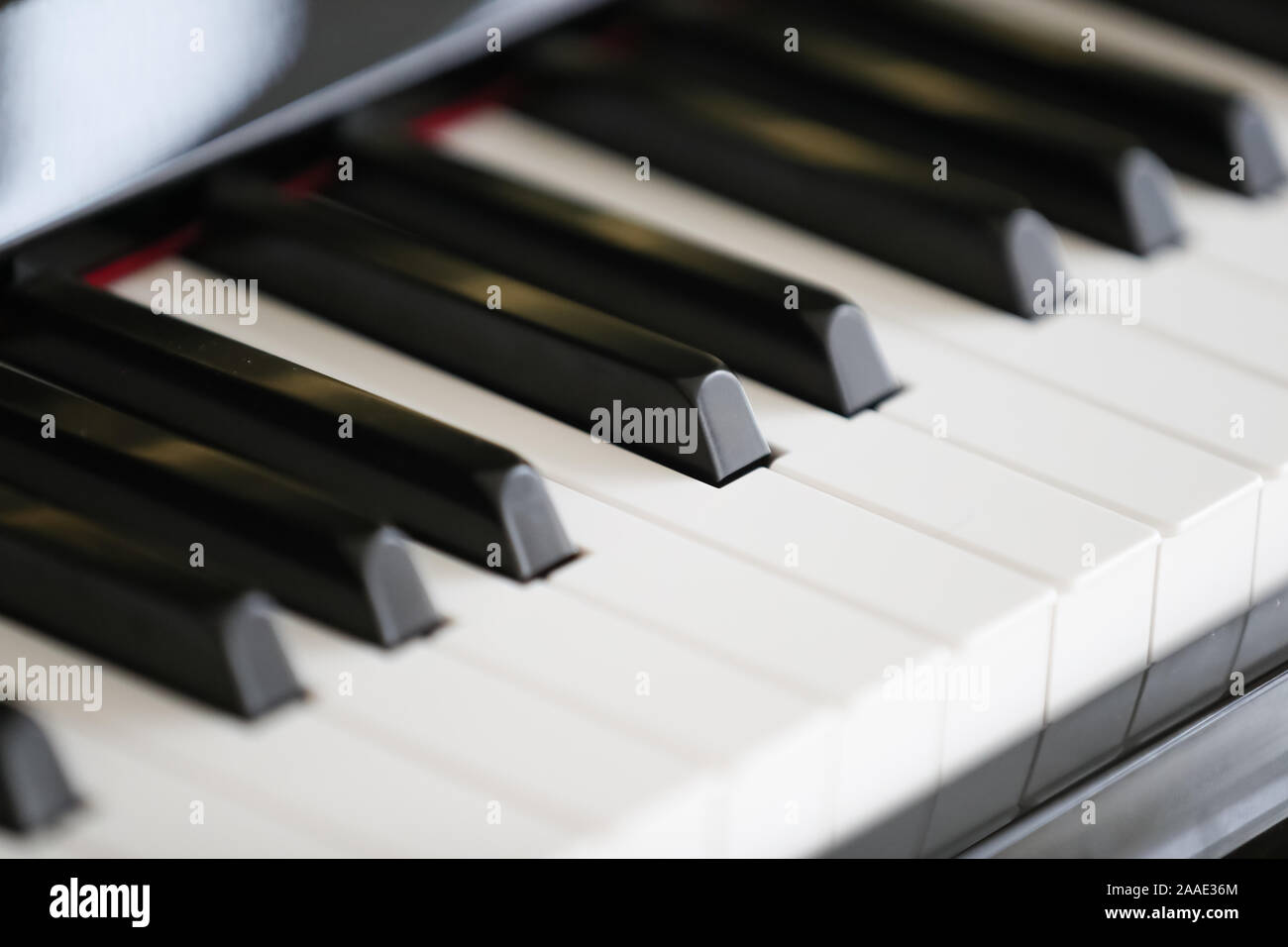 Close-up de touches de piano en blanc et noir - Image Banque D'Images