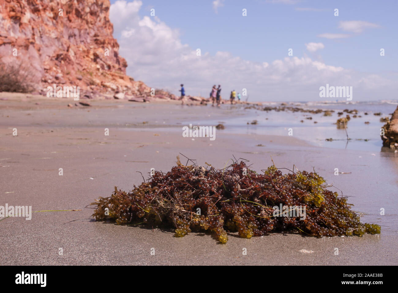 Coucher du soleil sur la falaise d'icapui dans le nord du Brésil Banque D'Images