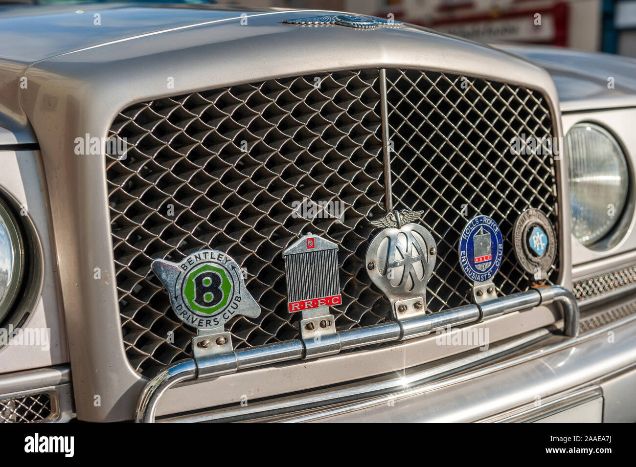 Grille de radiateur d'une voiture de luxe Bentley Continental avec des badges. Banque D'Images