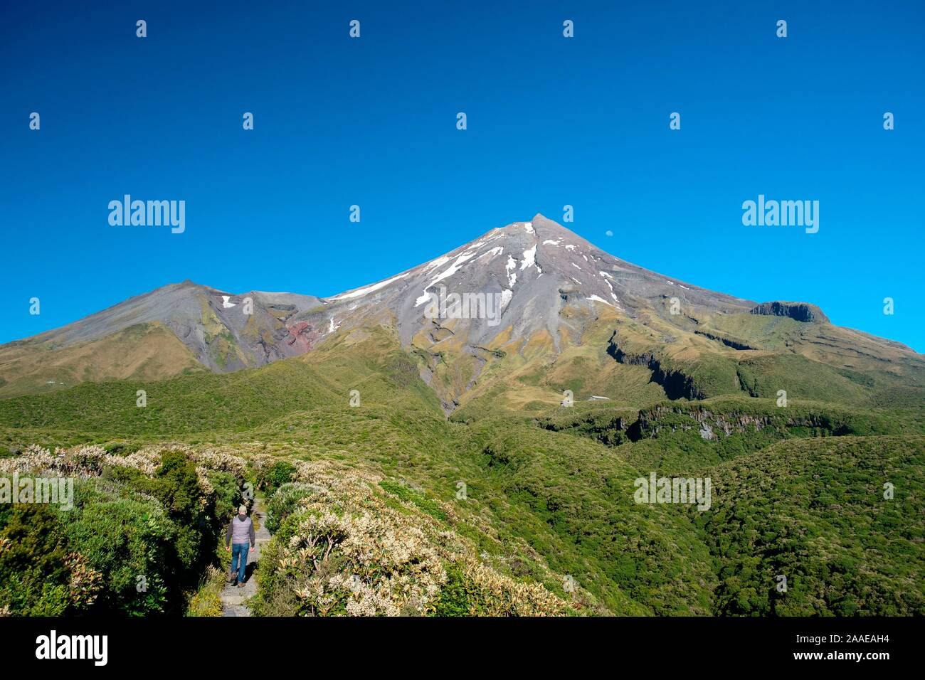 Homme randonnée dans le Mont Taranaki, Egmont National Park, près de Stratford, côte ouest de l'Île du Nord, Nouvelle-Zélande Banque D'Images