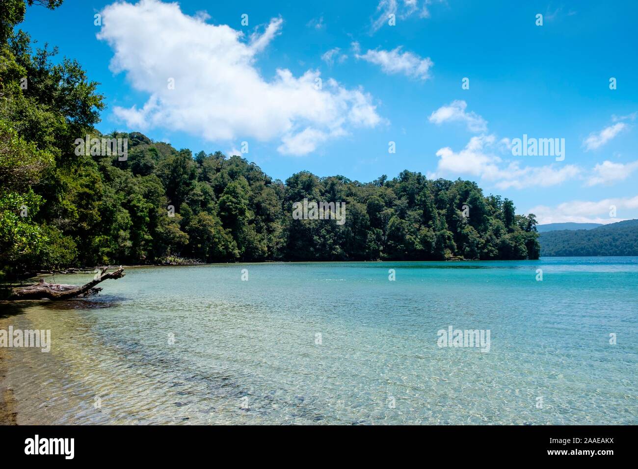 Waikareiti Te Urewera Lac à Hawkes Bay, région, île du Nord, Nouvelle-Zélande Banque D'Images