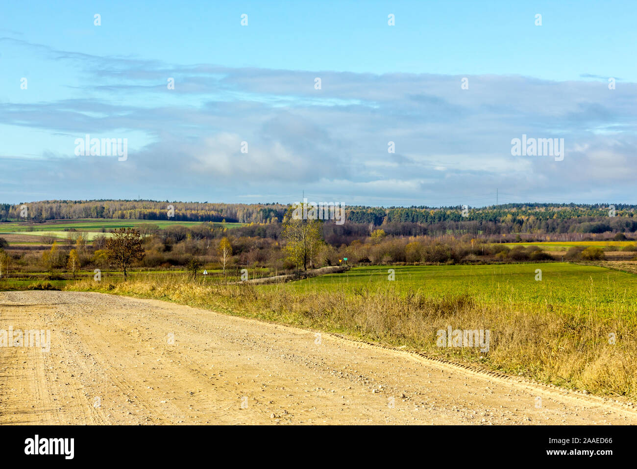 La fin de l'automne. Des champs verts et des forêts. Route de gravier et des pâturages dans l'avant-plan. Podlasie, Pologne. Banque D'Images