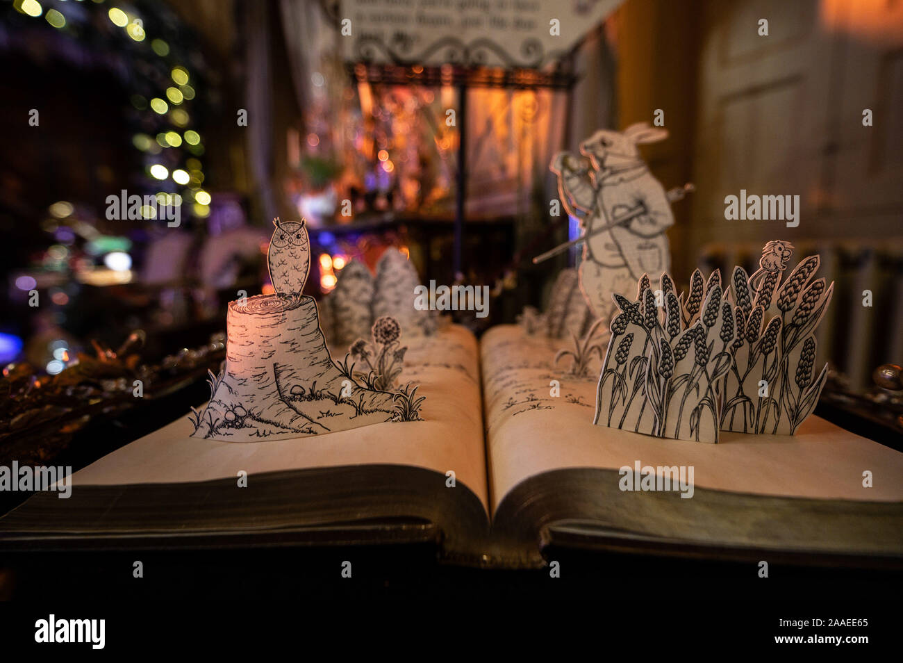 Blenheim Palace, Oxfordshire, UK. 21 Nov, 2019. Alice au Pays des Merveilles exposition 'Alice dans le Palace" à Blenheim Palace dans le cadre de leur célébration de Noël. Crédit : Andrew Walmsley/Alamy Live News Banque D'Images