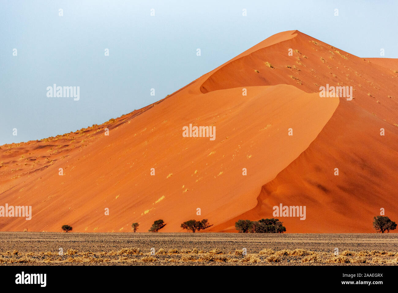 Dunes de sable de 45 à Sossusvlei, Namibie, Afrique. Paysage désertique Banque D'Images