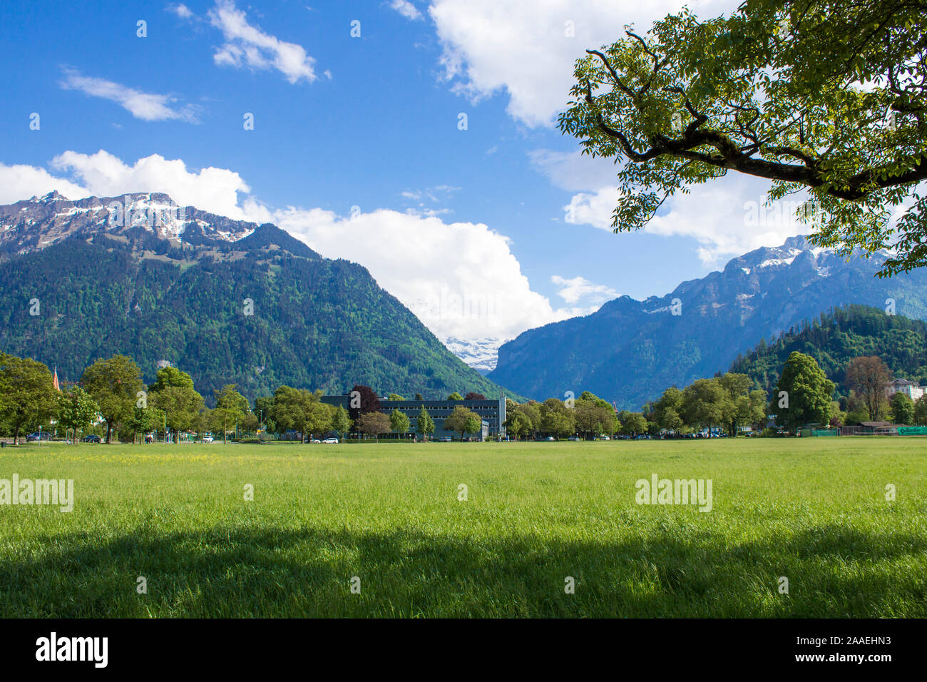 Park Hohematte. Vue sur les Alpes. Interlaken Banque D'Images