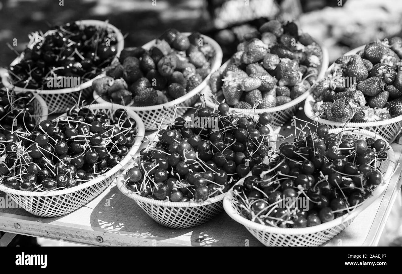 La récolte d'été. Les baies mûres rouges. Petits fruits juteux de jardin. Acheter des fruits frais. Petits fruits biologiques. Des en-cas délicieux. Des baies. Les cerises et les fraises dans des paniers pour les vendre. Marché à la ferme. Banque D'Images