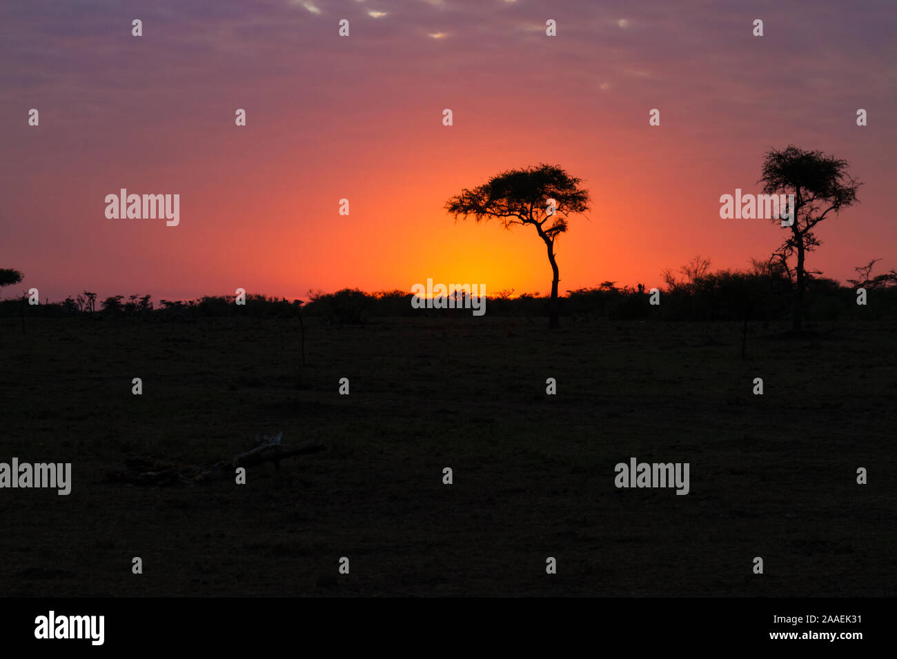 Coucher du soleil en Afrique Banque D'Images