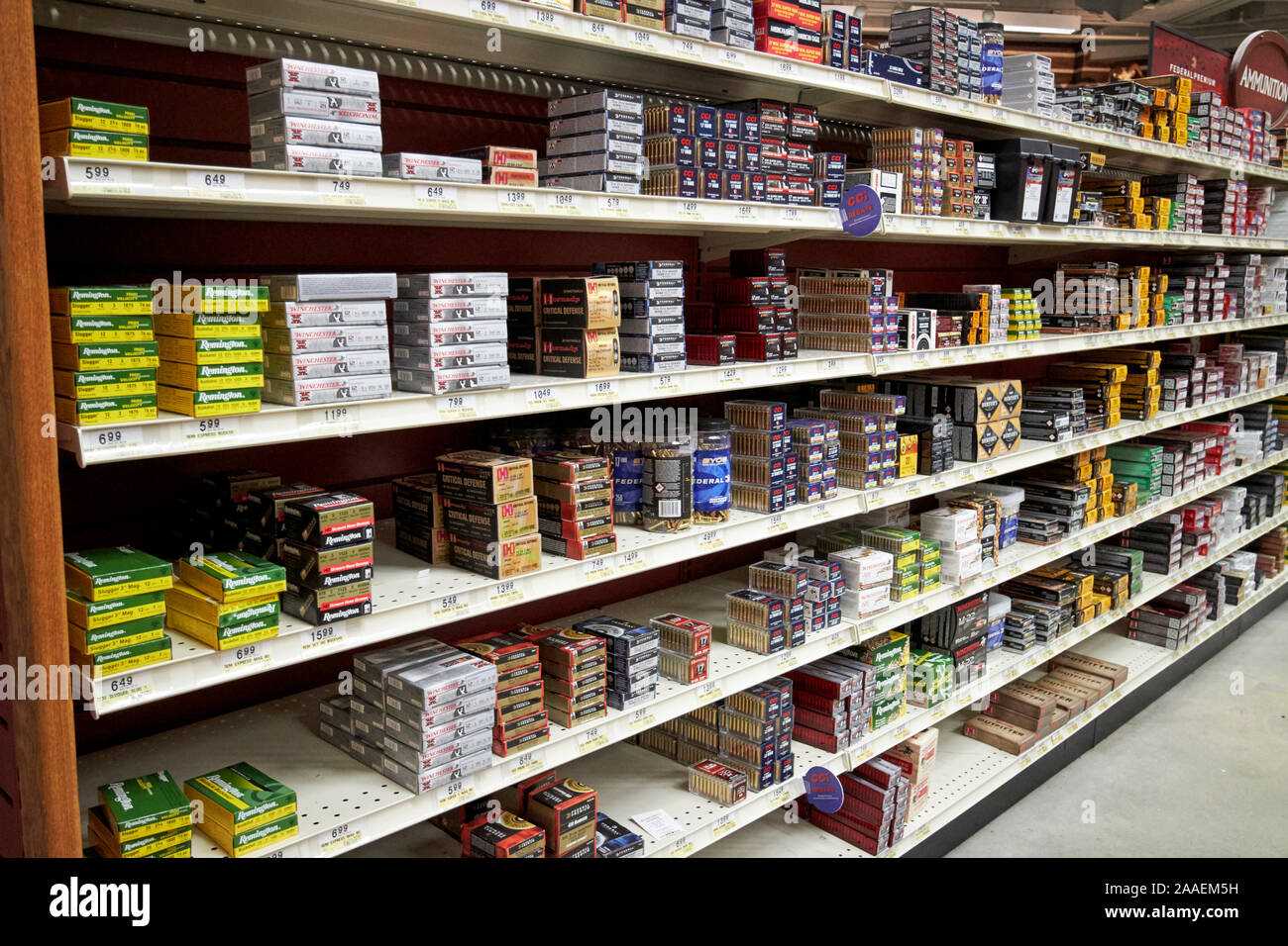 Diverses munitions à vendre dans un magasin d'articles de sport savannah georgia usa Banque D'Images