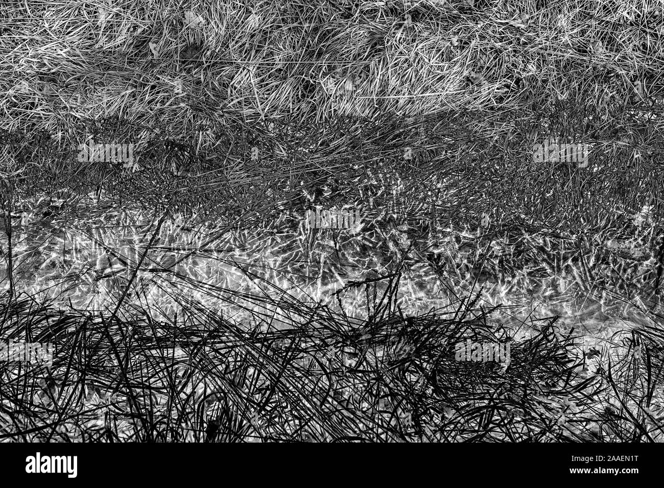 Structures abstraites Banque D'Images