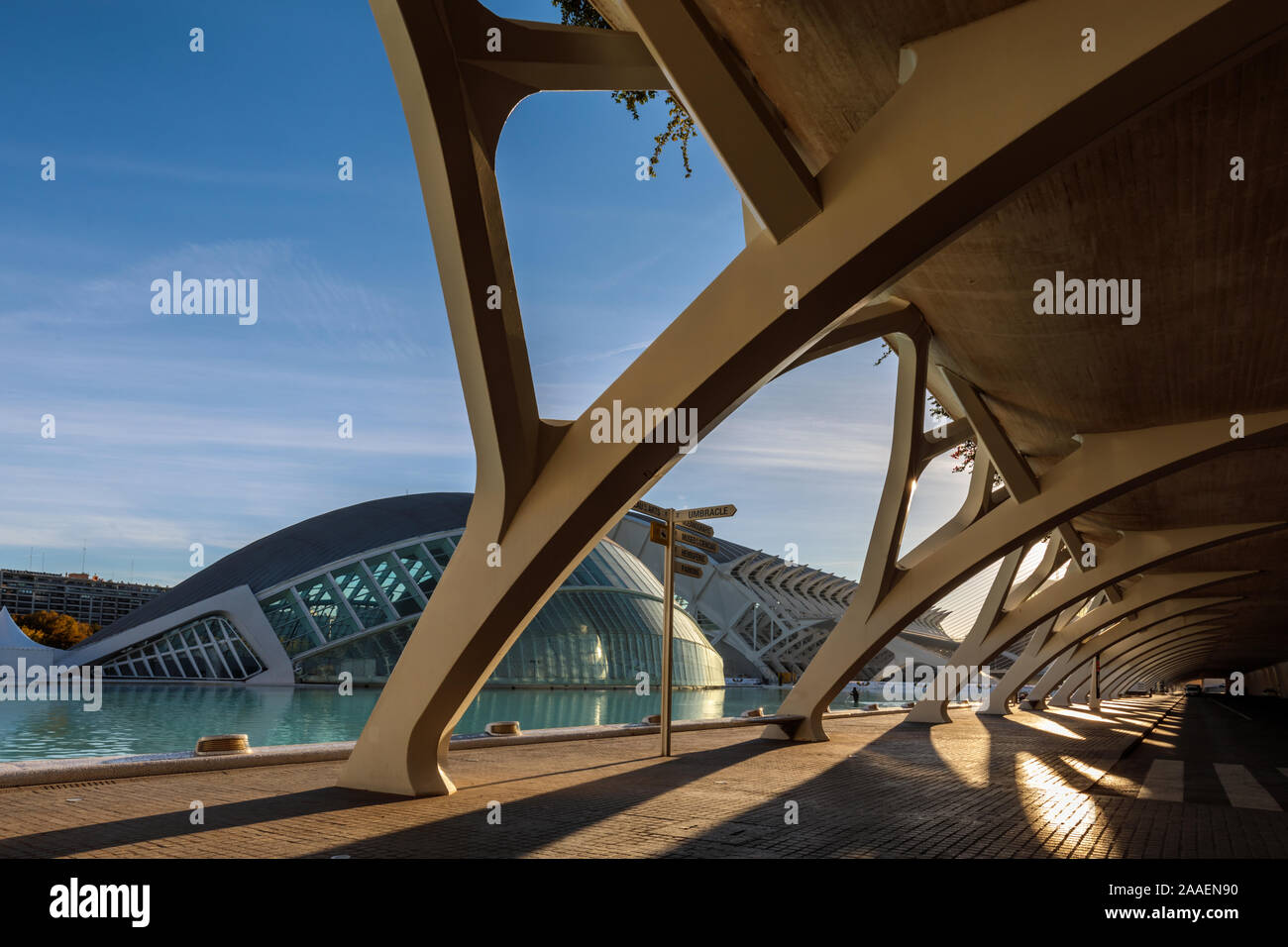 Cité des Arts et des Sciences en début de matinée, conçu par Calatrava, Valencia, Espagne Banque D'Images