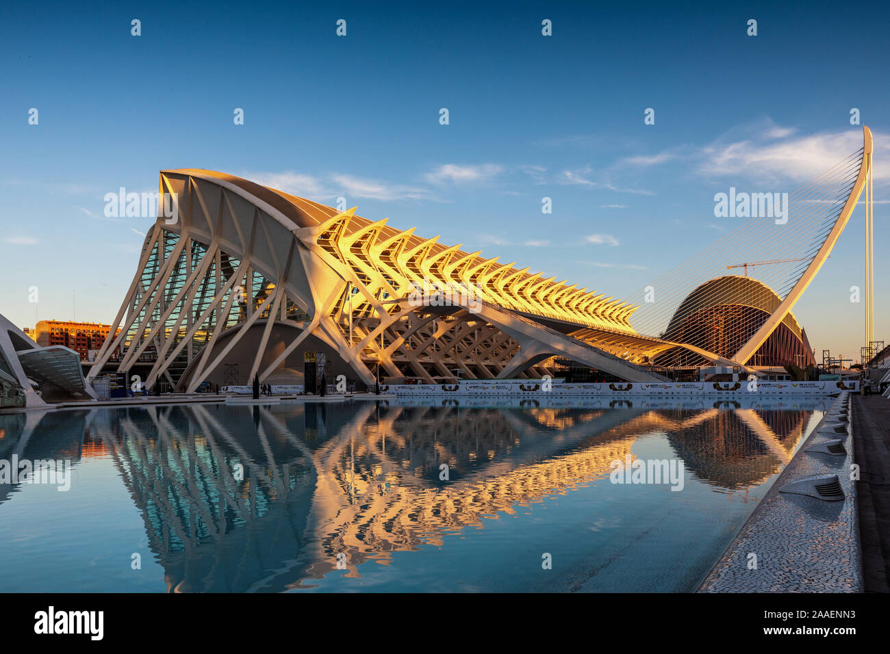 Cité des Arts et des Sciences en début de matinée, conçu par Calatrava, Valencia, Espagne Banque D'Images