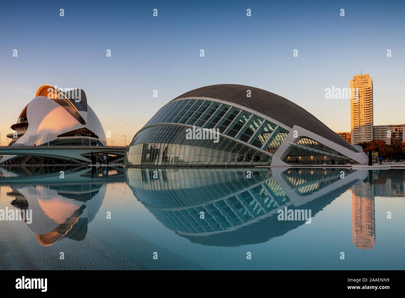 Cité des Arts et des Sciences en début de matinée, conçu par Calatrava, Valencia, Espagne Banque D'Images