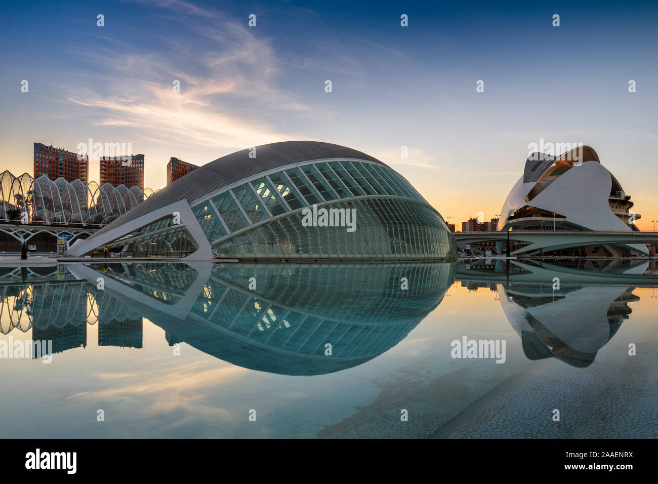 Cité des Arts et des Sciences en début de matinée, conçu par Calatrava, Valencia, Espagne Banque D'Images