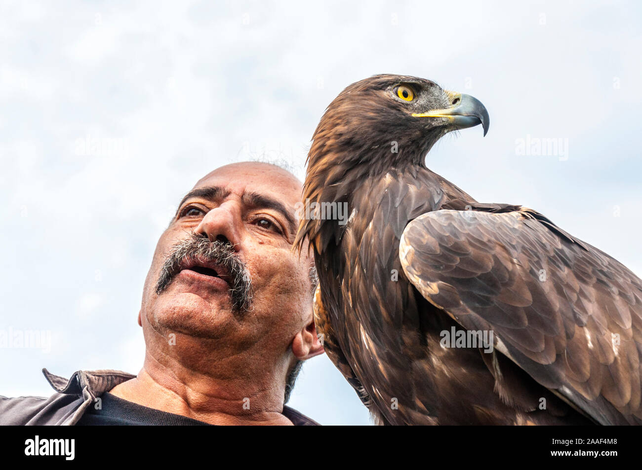 11 août 2018. Pedro Soltani le Bird-Man de Brazoria avec un aigle royal dans Glenties, comté de Donegal, Irlande. Membre fondateur de l'Irlande. Sauvetage Raptor Banque D'Images