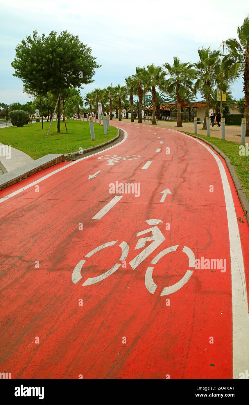 Vertical Image d'un rouge vibrant vide Location Lane dans le parc Banque D'Images