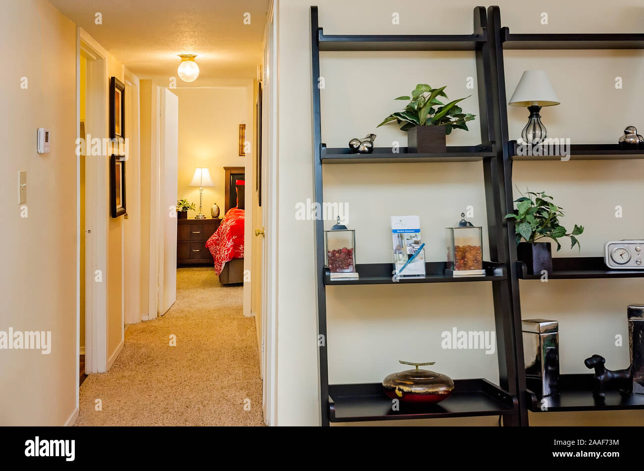 Étagères sont de type échelle en photo avec un couloir menant du salon à la chambre à Four Seasons apartments de Mobile, Alabama. Banque D'Images