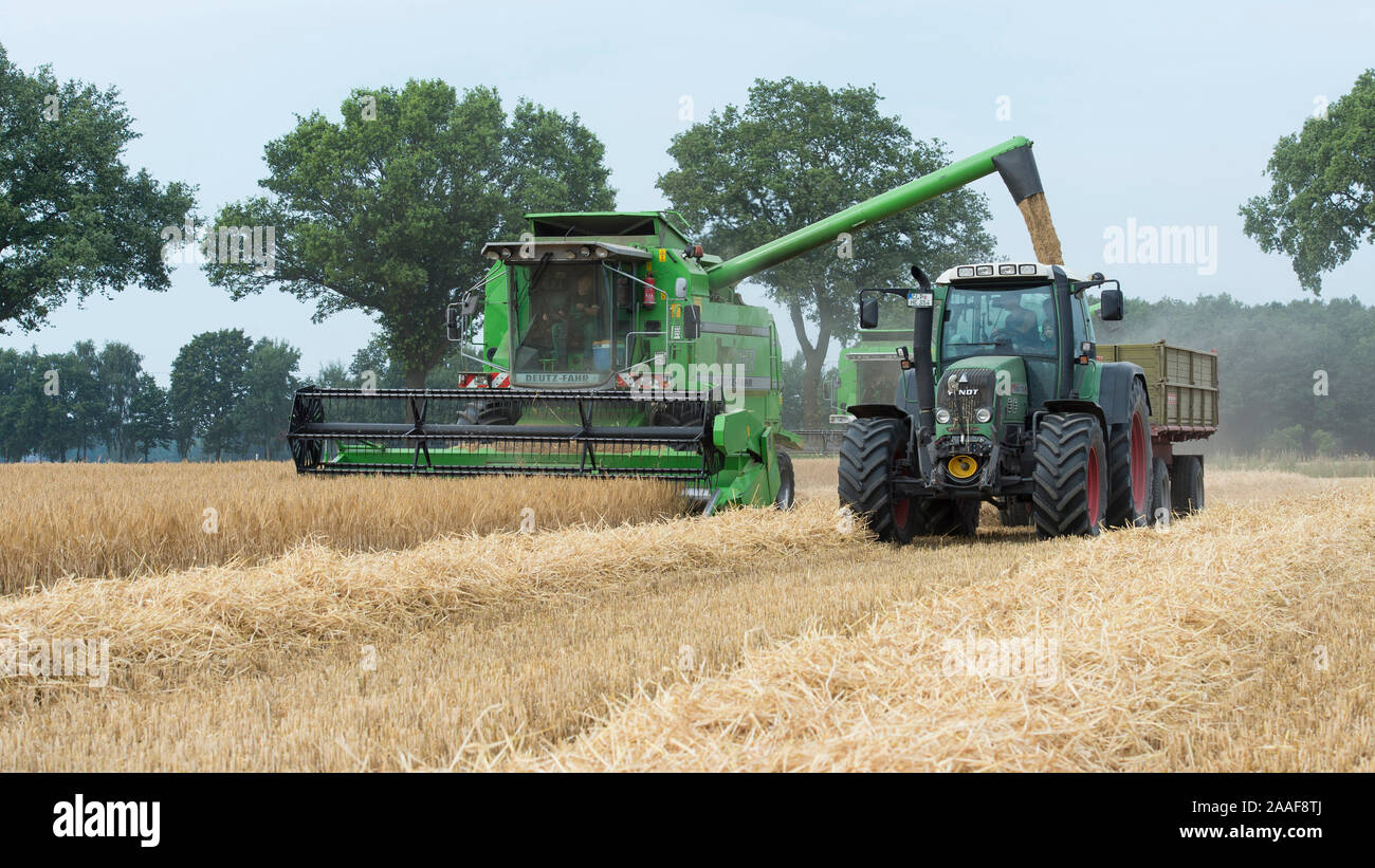 Getreideernte Traktor mit Banque D'Images