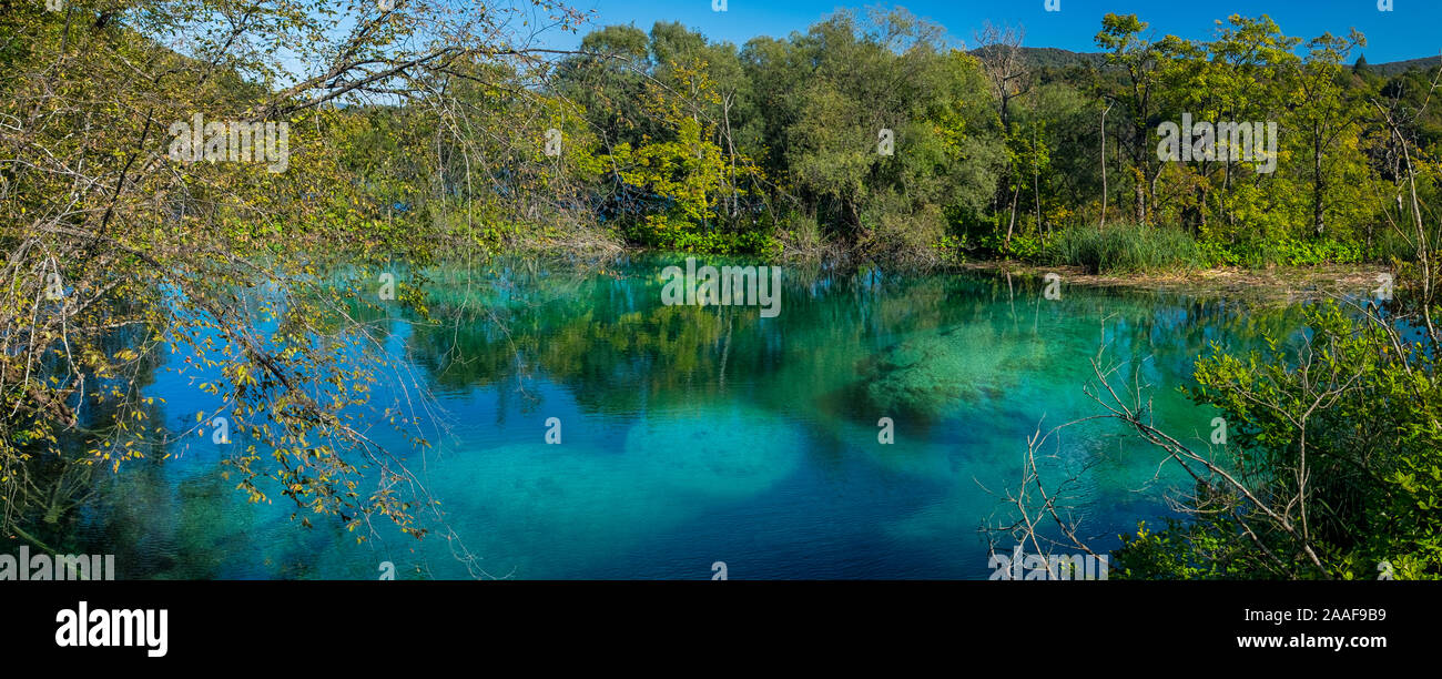 Vue sur l'un des lacs du parc national des lacs de Plitvice. Croatie. Banque D'Images