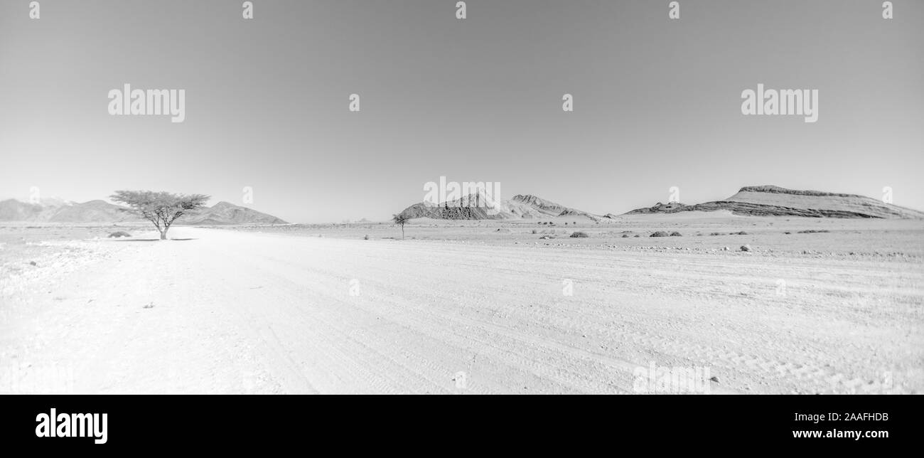 Le désert en Namibie, Afrique Banque D'Images