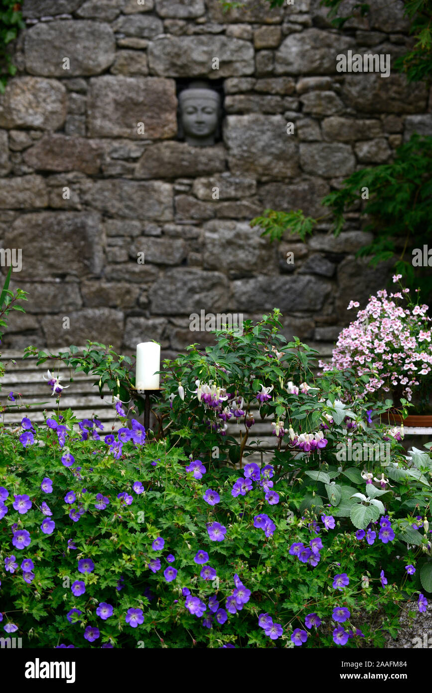 Bouddha,jardin,mur,Patthana tropical,affichage,fleurs,containers,jardin,casseroles,head,statue,insert,recueillement,kiltegan,wicklow,mixte,chambres,bo Banque D'Images