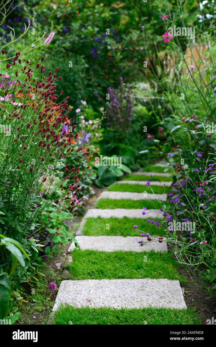 ,mix,mixte,lit,bordure,affichage,circulaire,chemin,étapes,lead,exotique,tropical,jardin,fleurs,floraison,RM Floral Banque D'Images