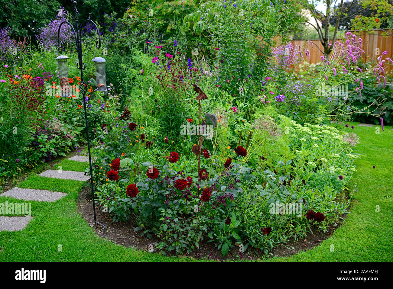 ,mix,mixte,lit,bordure,affichage,circulaire,chemin,étapes,lead,exotique,tropical,jardin,fleurs,floraison,RM Floral Banque D'Images