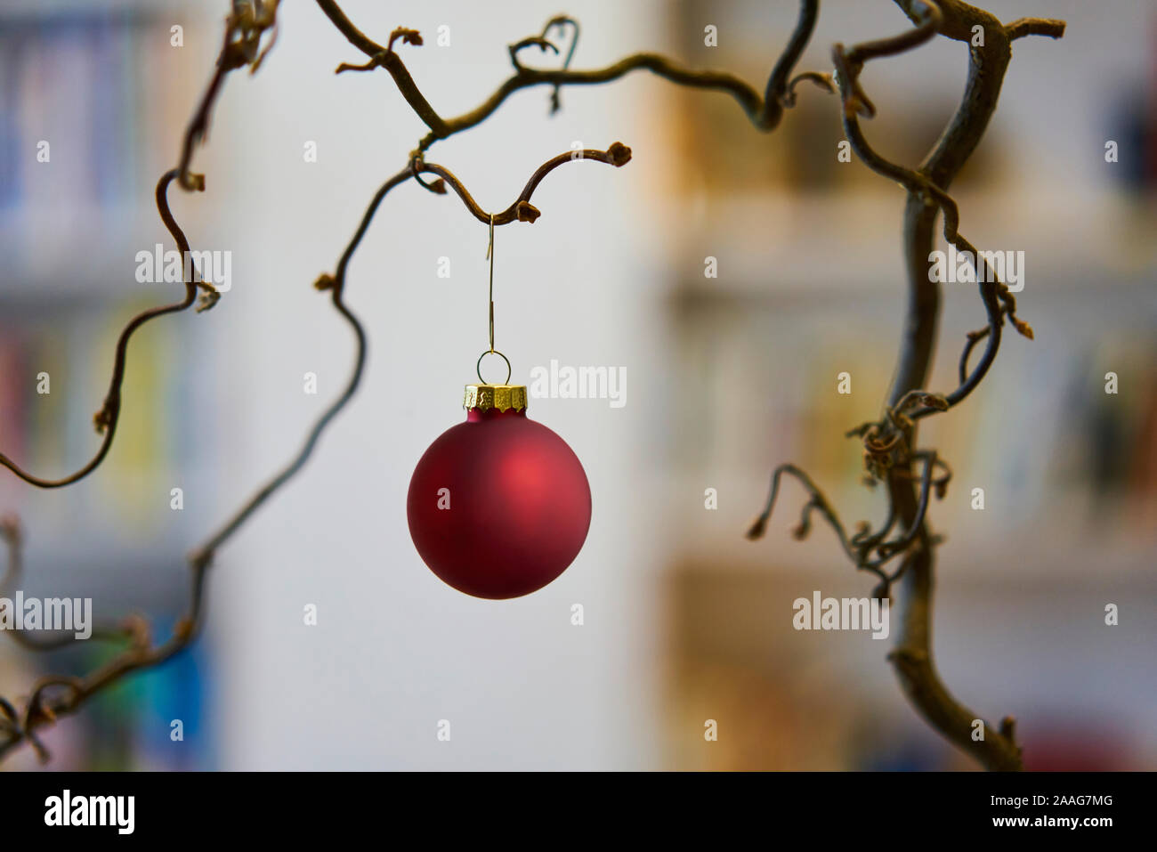 Close up of red boule de noël à une branche en face de l'arrière-plan flou de bookshelf Banque D'Images