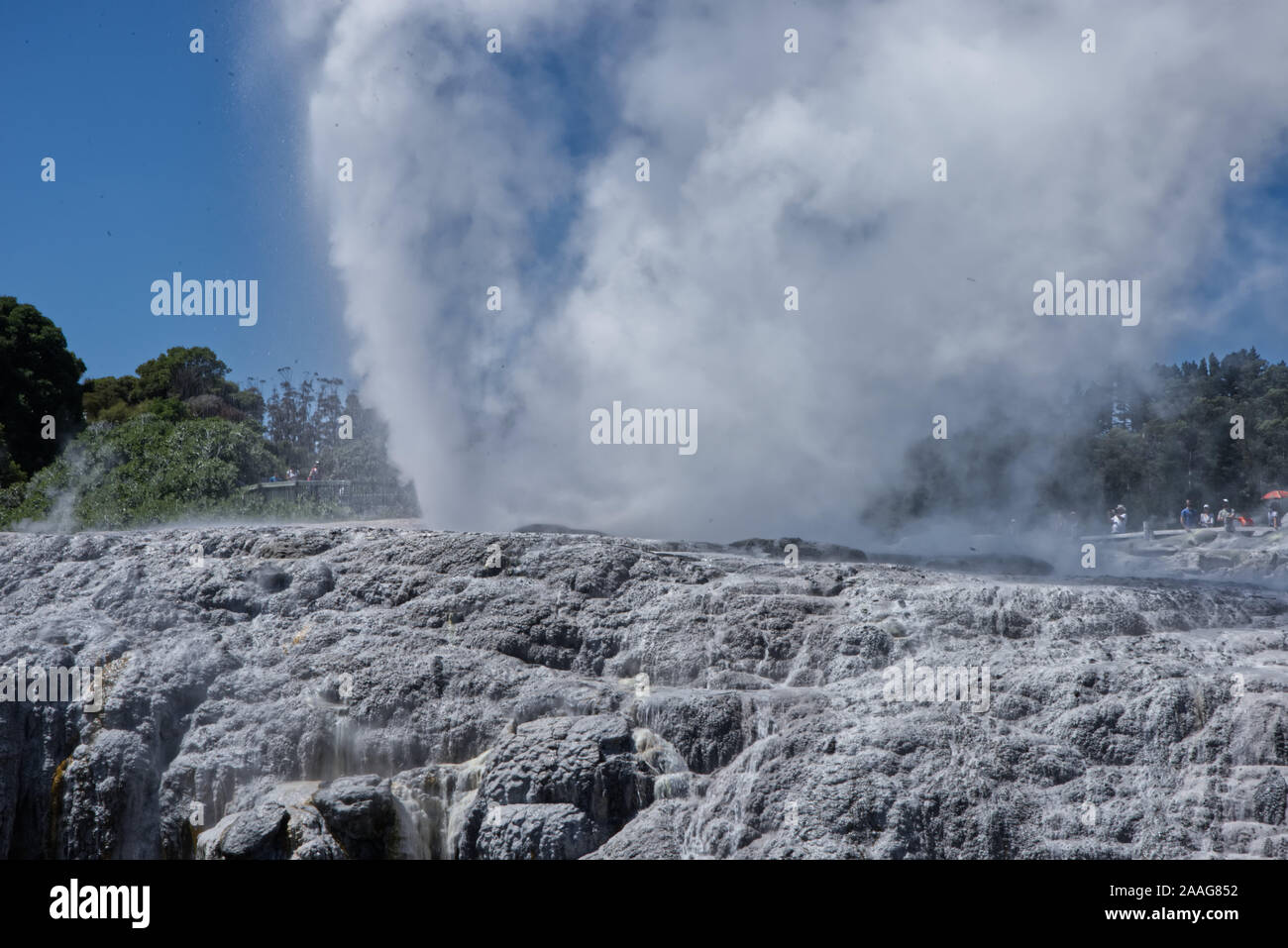 L'activité volcanique sur l'Île du Nord, New Zealamd Banque D'Images