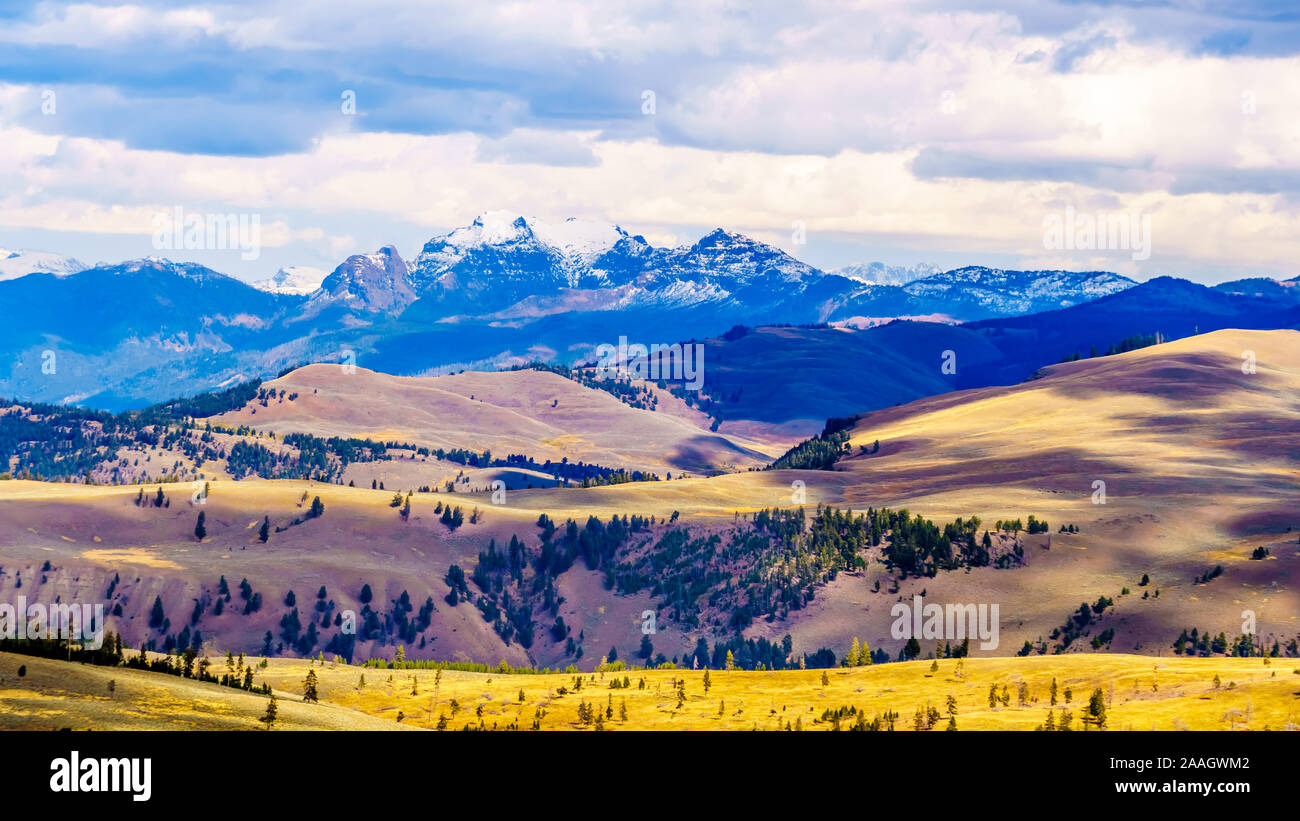 Les prairies et montagnes vue de la Grand Loop Road entre Canyon Village et Tower Junction dans le Parc National de Yellowstone, Wyoming, Etats-Unis Banque D'Images