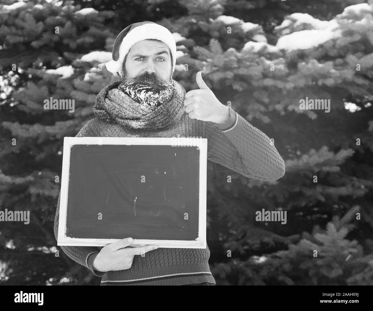 L'homme fronce dans santa claus hat, hipster avec barbe et moustache recouverte de givre, avec tableau noir ou tableau blanc donne Thumbs up geste sur journée d'hiver sur fond naturel, copy space Banque D'Images L'homme fronce dans santa claus hat, hipster avec barbe et moustache recouverte de givre, avec tableau noir ou tableau blanc donne Thumbs up geste sur journée d'hiver sur fond naturel, copy space Banque D'Images
