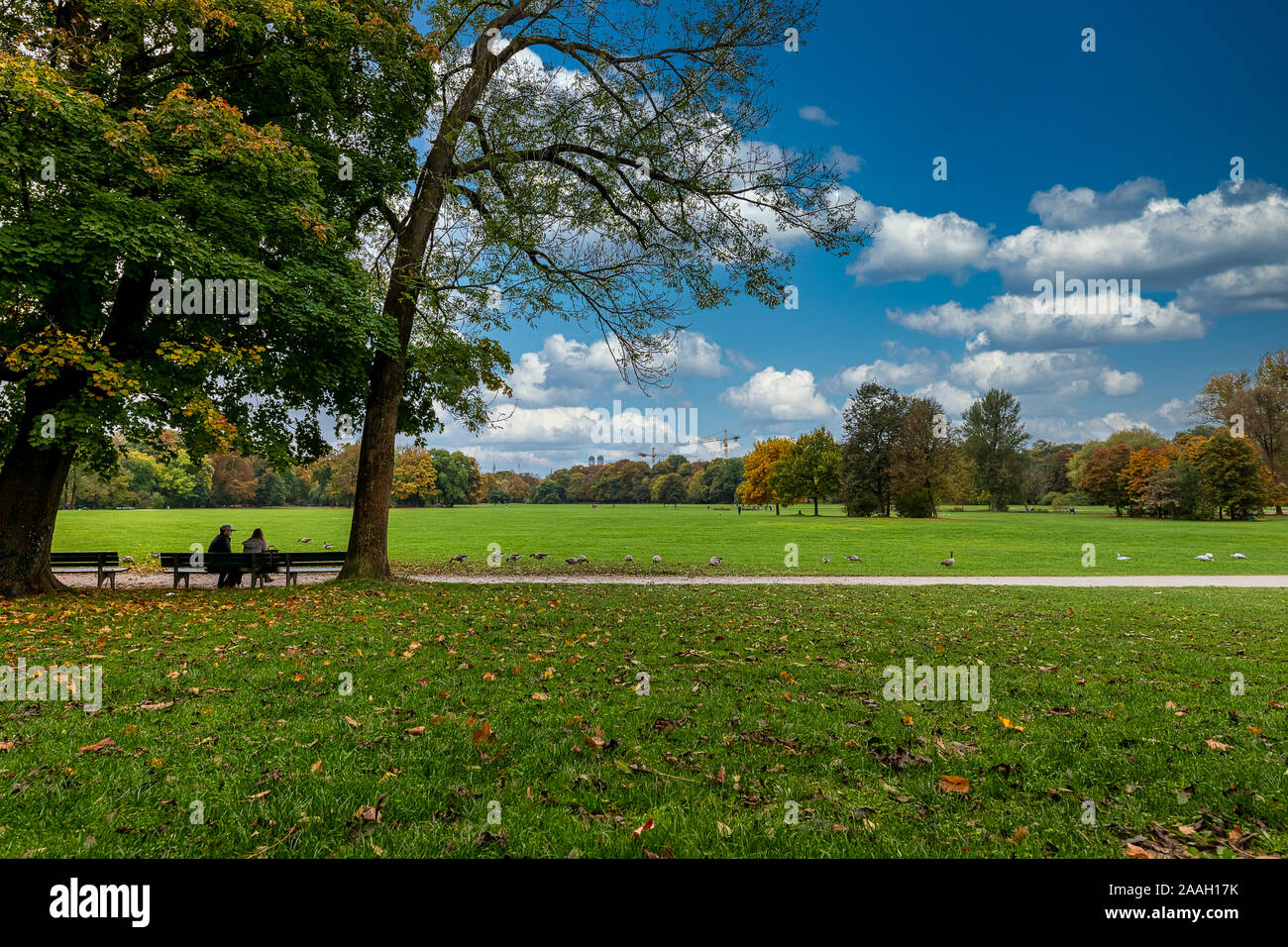 L'heureux couple est assis à un banc dans le Jardin Anglais de Munich. Banque D'Images