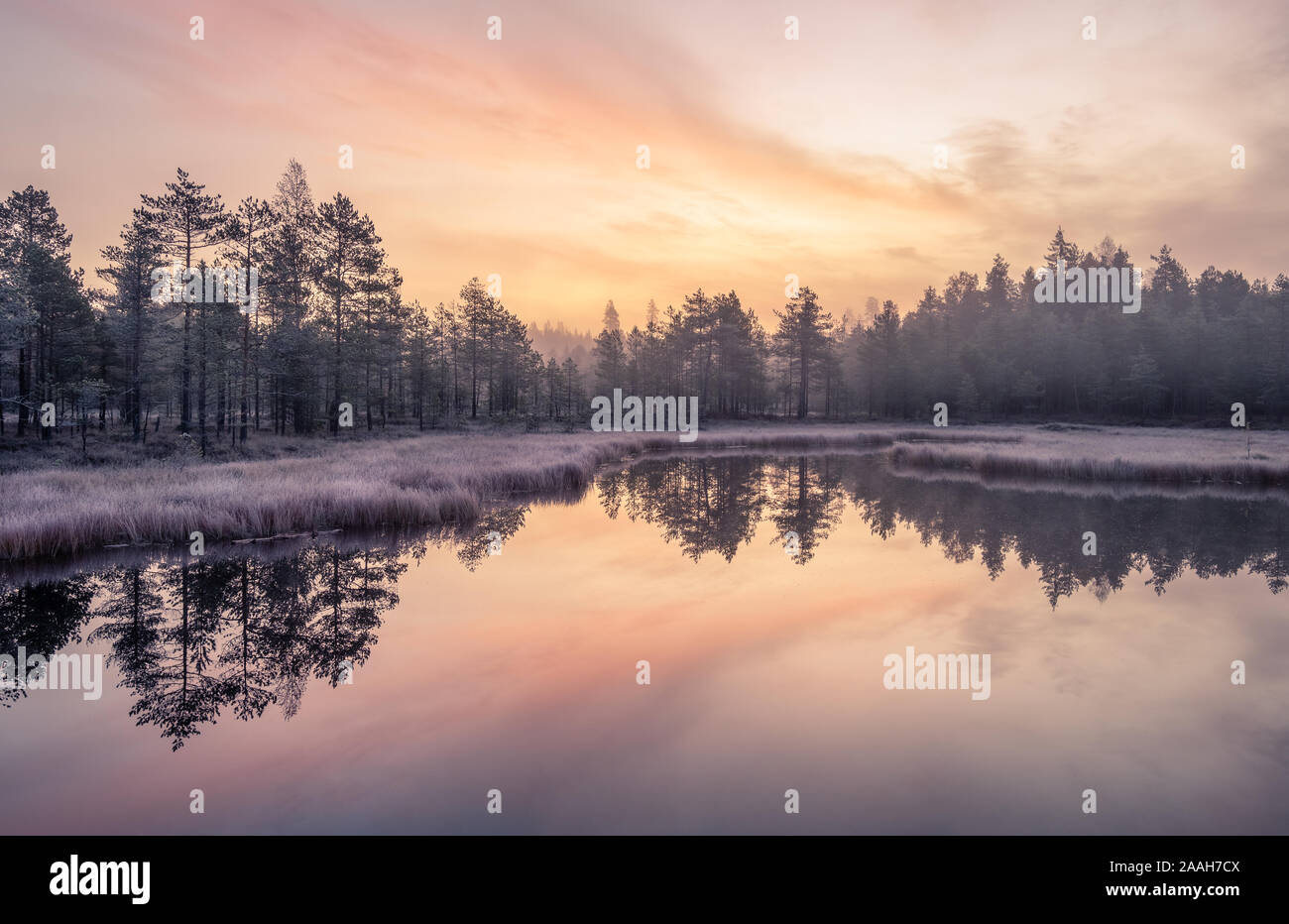 Le calme et froid matin d'automne paysage avec le lever du soleil, de belles réflexions et paisible lac de Finlande Banque D'Images