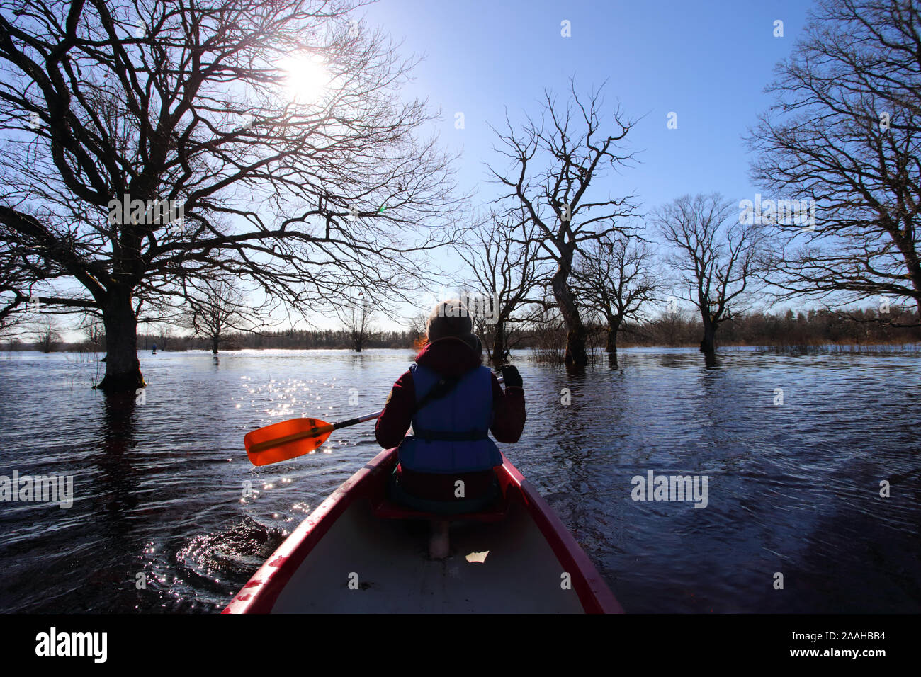 Cinquième saison canot à Rio Dulce, woman on canoe avec palettes de navigation dans les forêts, l'Estonie au printemps Banque D'Images
