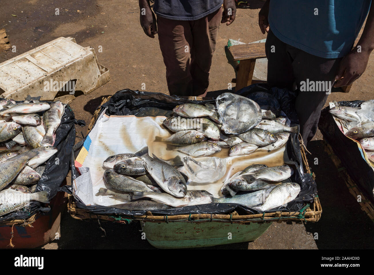 Cale dans le marché de Mzuzu, Malawi, vendant des poissons de chambo (Oreochromis lidole) capturés dans le lac Malawi Banque D'Images