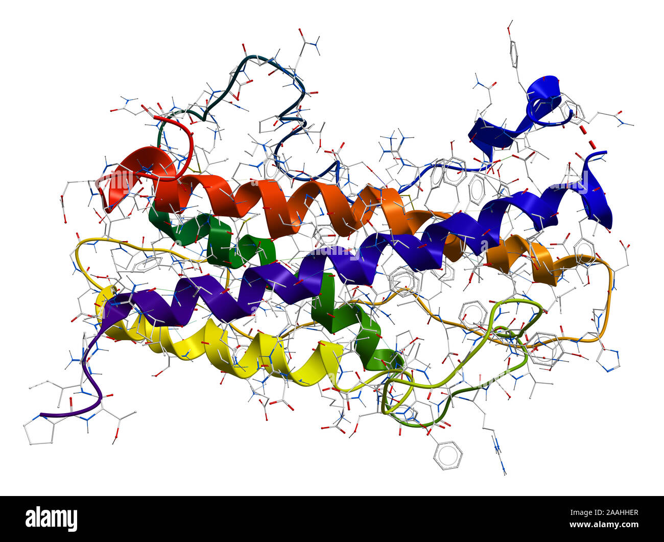 Somatotropine, hormone de croissance humaine Banque D'Images