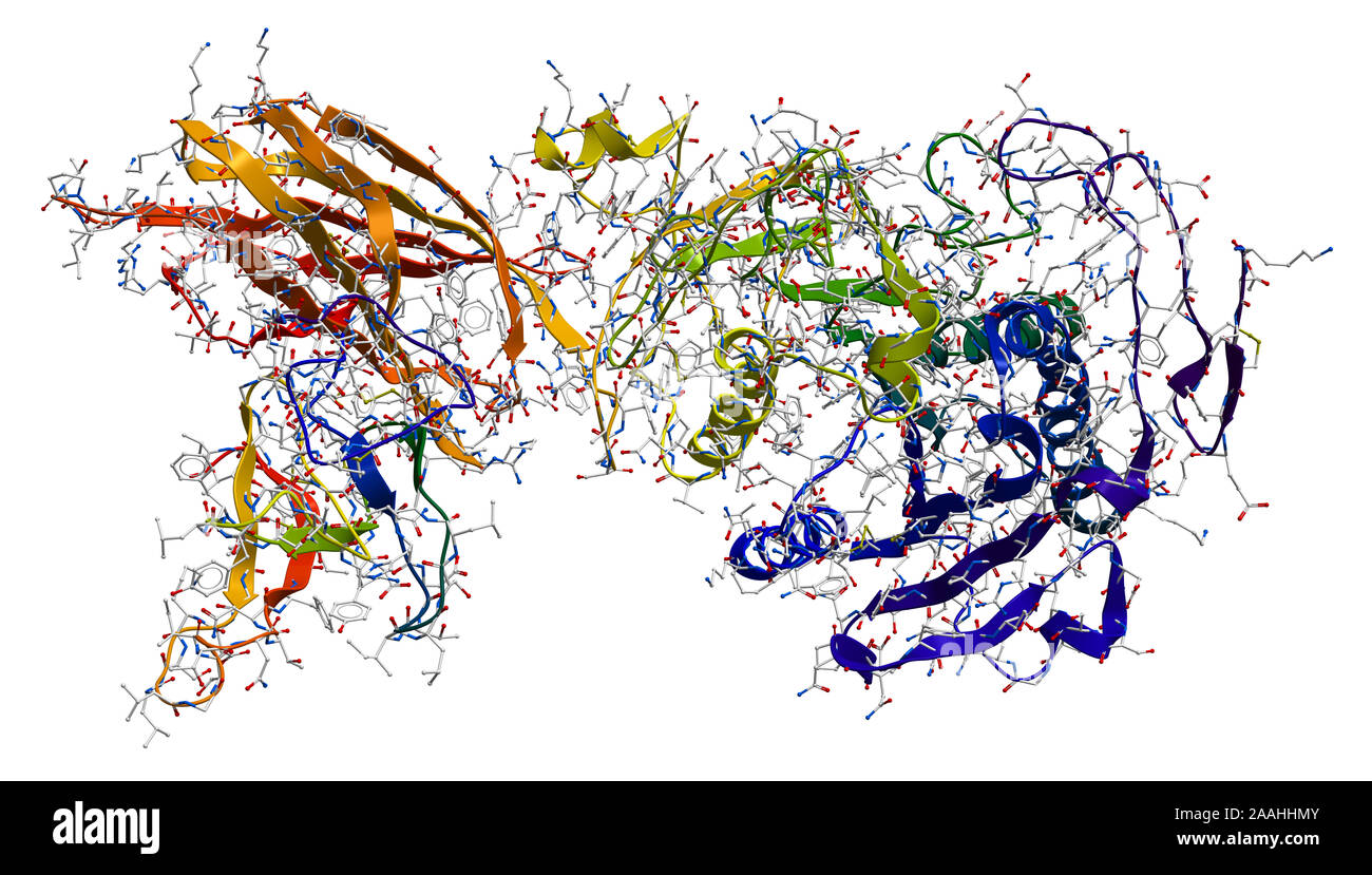La lipase pancréatique enzymecolipase complex Photo Stock Alamy