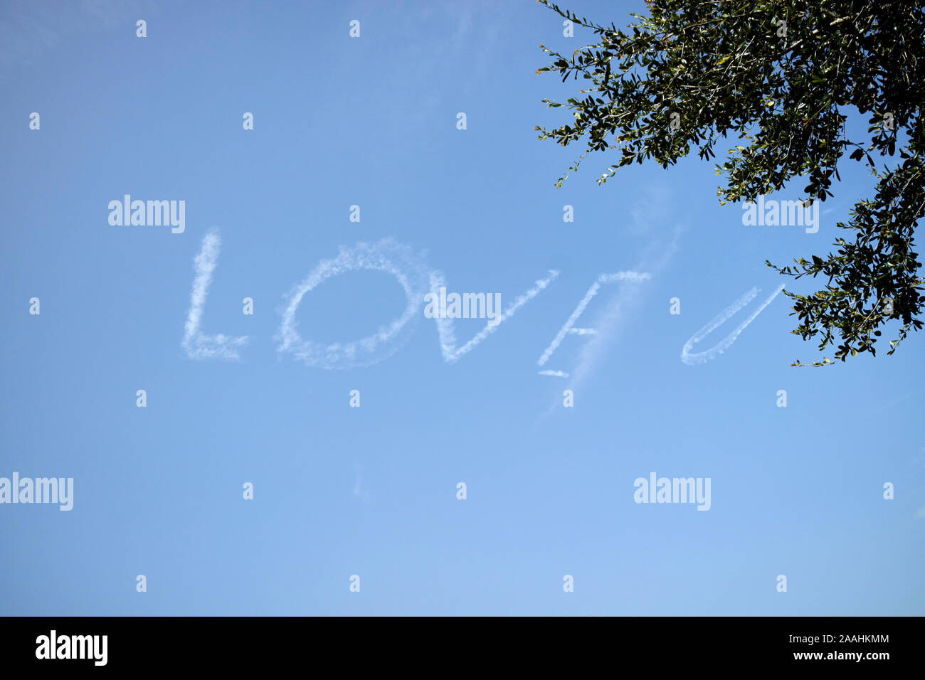 Love u écrit par un avion contre un ciel bleu celebration florida usa Banque D'Images