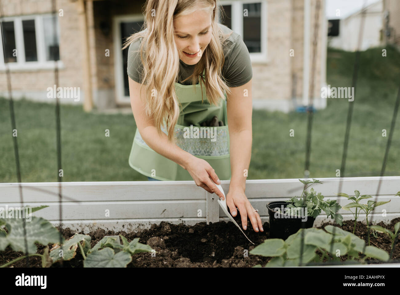 Femme culture en creux au jardin Banque D'Images