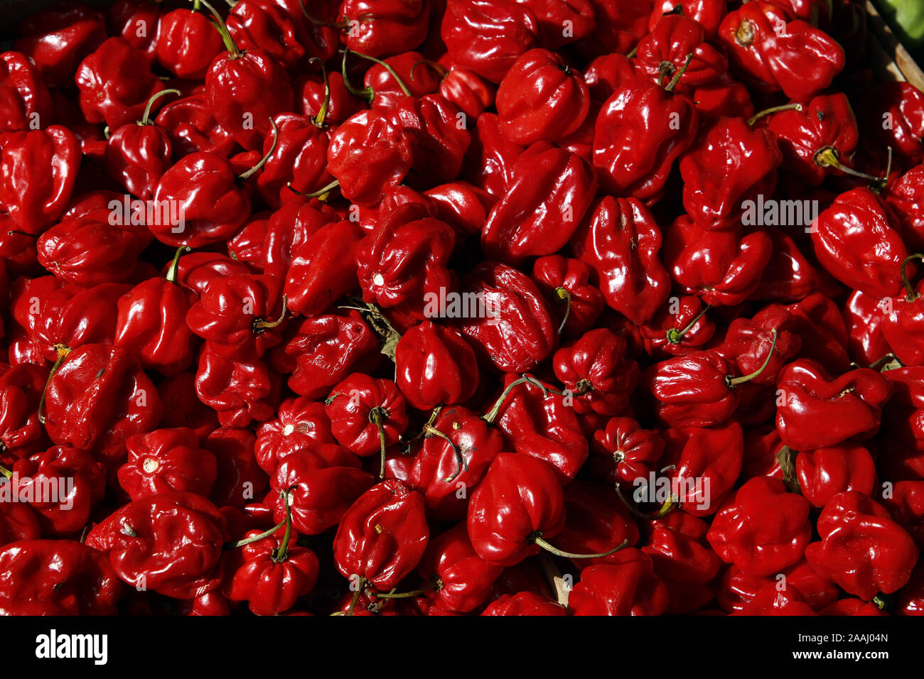 Piments Scotch Bonnet en vente dans le marché de Palerme Banque D'Images