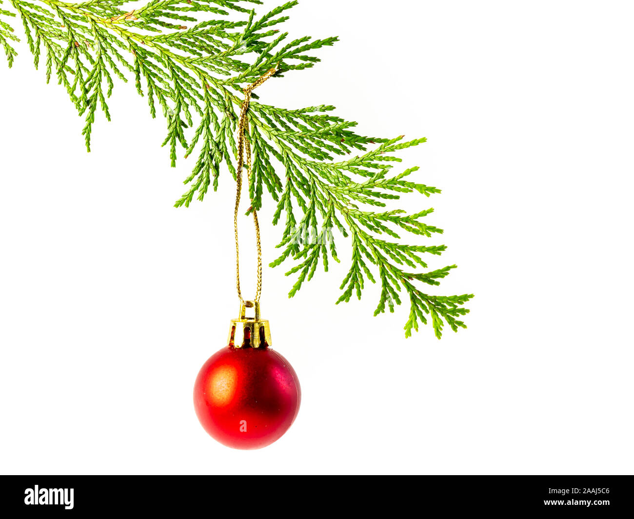 Ornement de Noël sur l'arbre de vie isolé Banque D'Images