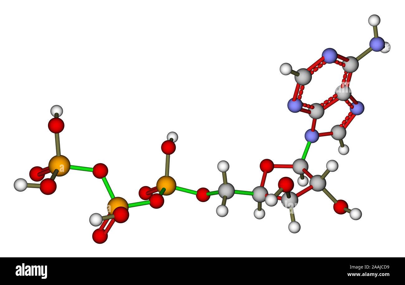 L'adénosine triphosphate (ATP) structure moléculaire Banque D'Images