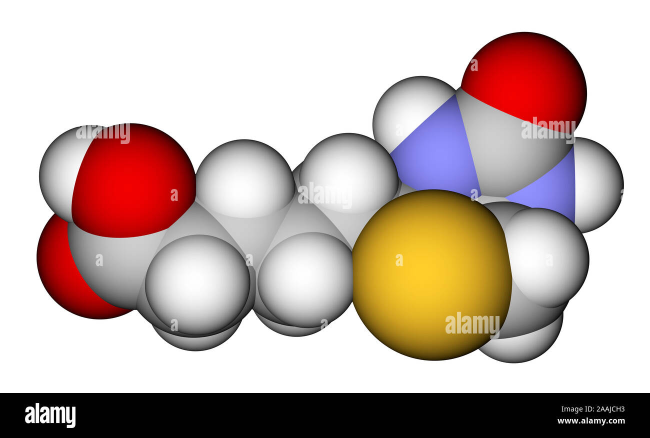 La biotine (vitamine H ou B7) modèle moléculaire 3D Banque D'Images