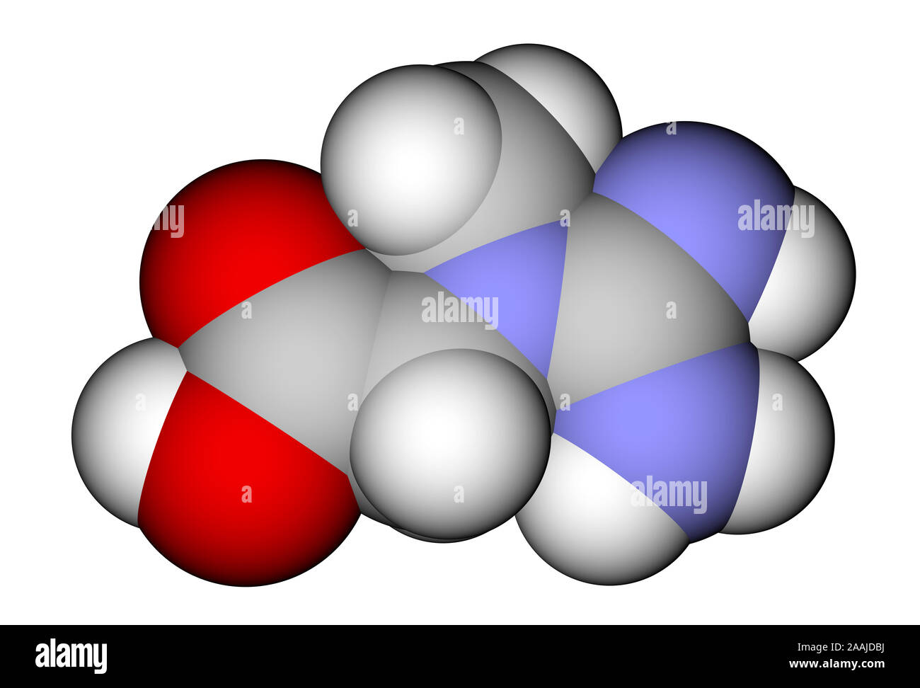 La créatine structure moléculaire 3D Banque D'Images