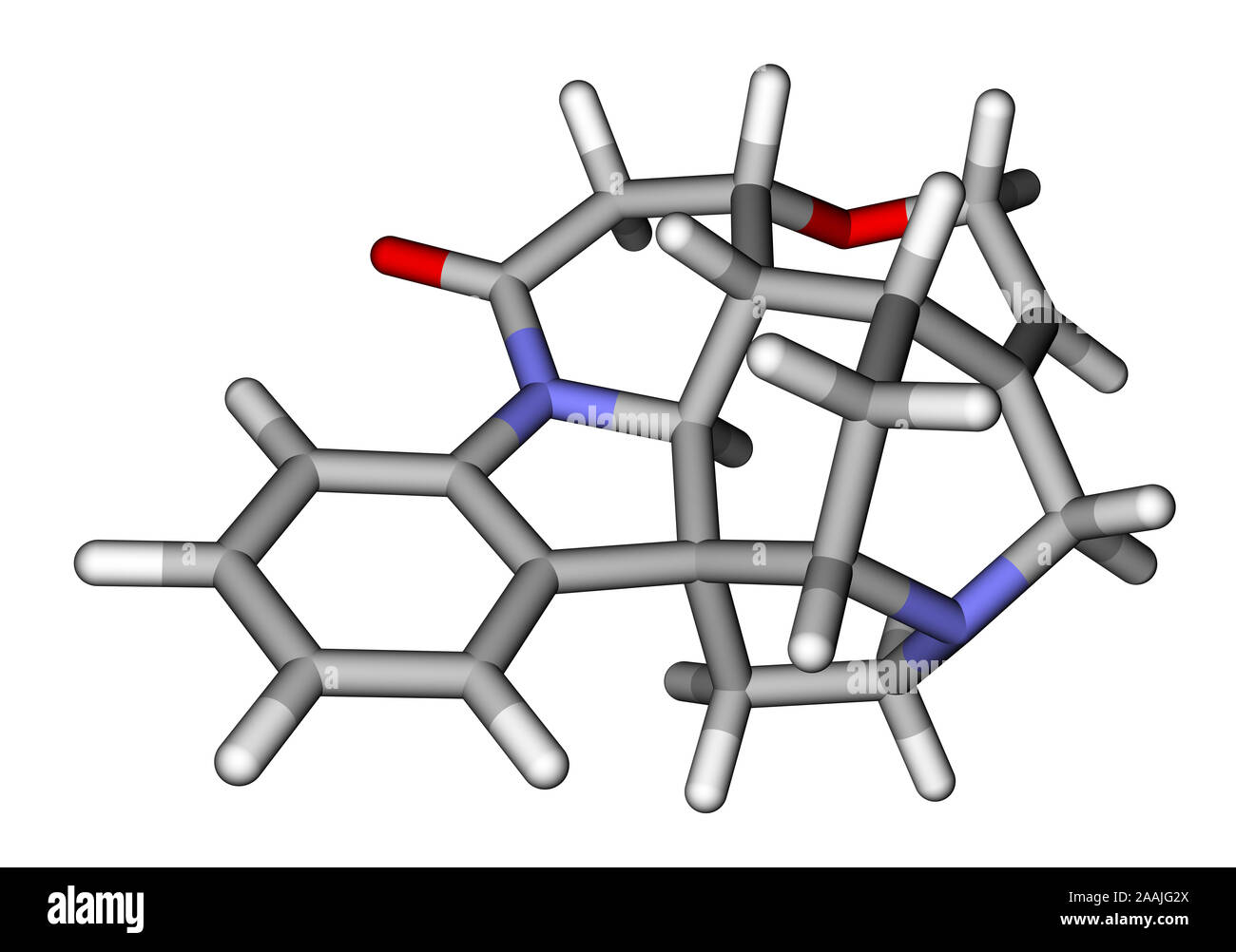 La strychnine, un alcaloïde très toxique que convulsions musculaires couses et la mort par asphyxie Banque D'Images