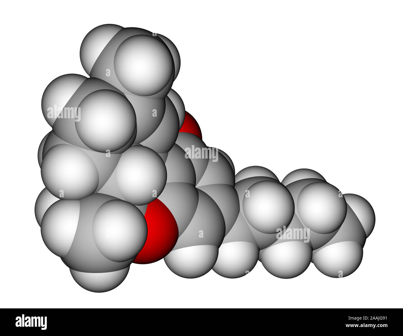 Tétrahydrocannabinol-remplissage de l'espace modèle moléculaire Banque D'Images