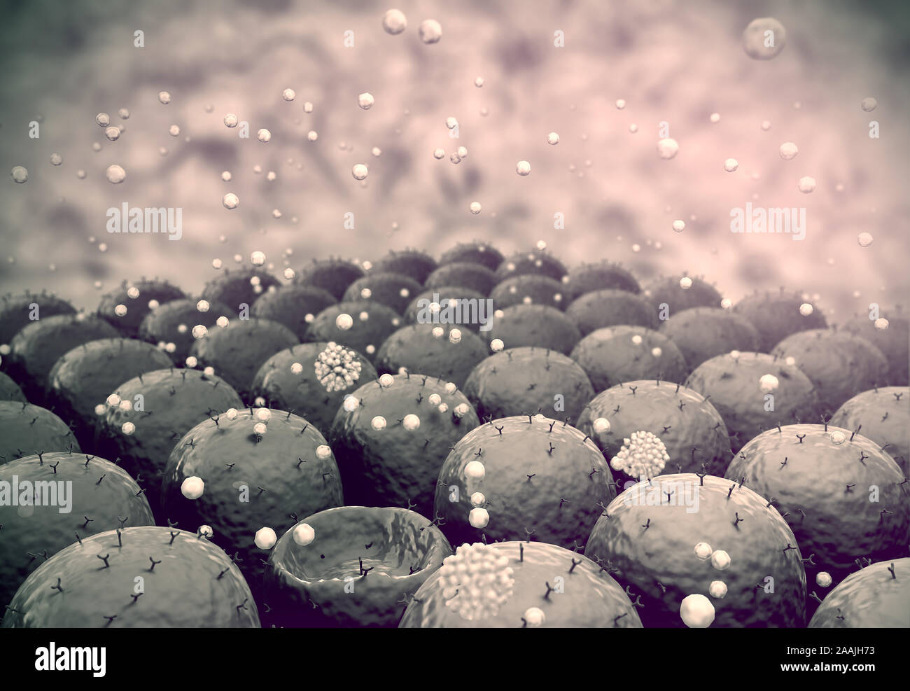 Domaine de cellules, les cellules de terrain avec les récepteurs Banque D'Images