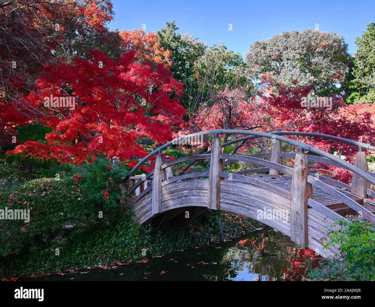 Jardin Japonais 112719 Pont de lune Banque D'Images