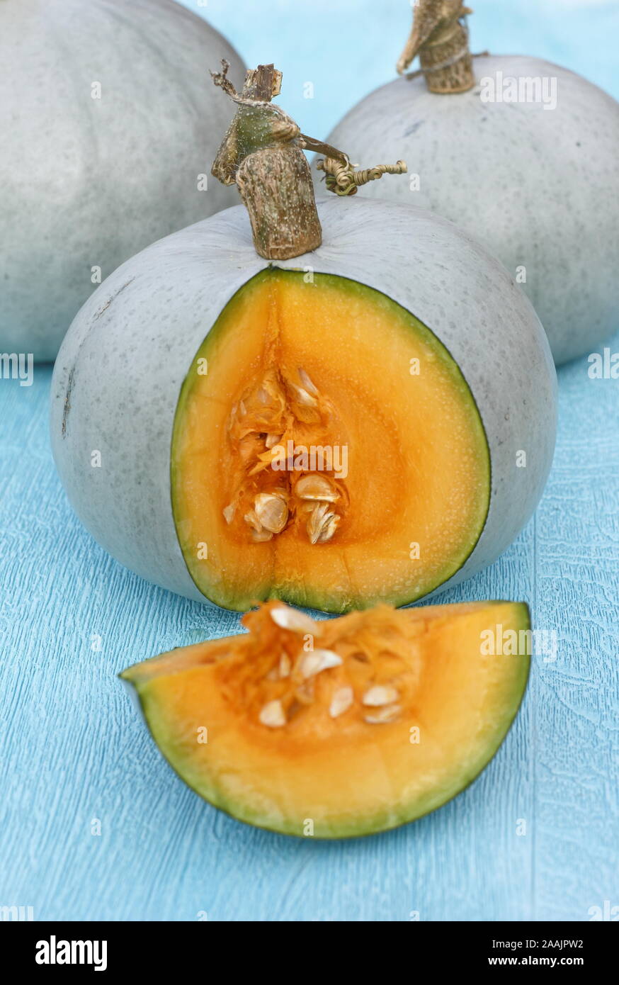 Cucurbita maxima 'Prince'. Peau bleu fraîchement récoltés, le Prince squash, tranchées pour révéler la chair vibrante. Banque D'Images